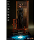 Figurka The Dark Knight Trilogy Movie Masterpiece Action Figure 1/6 Catwoman